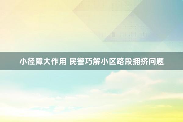 小径障大作用 民警巧解小区路段拥挤问题