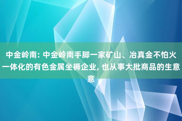 中金岭南: 中金岭南手脚一家矿山、冶真金不怕火一体化的有色金属坐褥企业, 也从事大批商品的生意