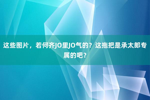 这些图片，若何齐JO里JO气的？这拖把是承太郎专属的吧？