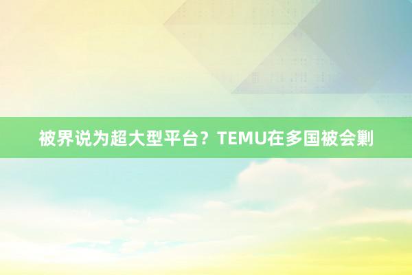 被界说为超大型平台？TEMU在多国被会剿