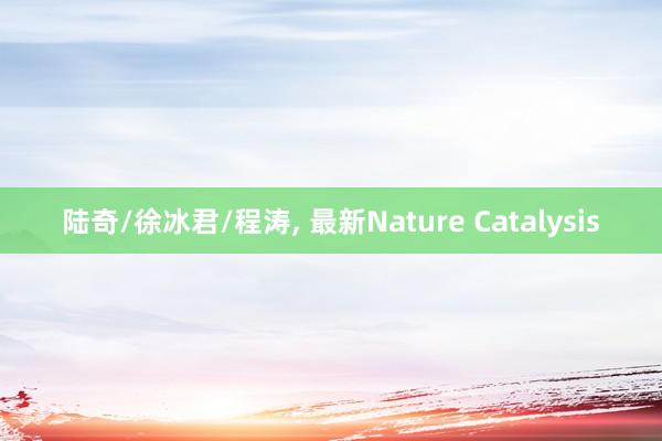 陆奇/徐冰君/程涛, 最新Nature Catalysis