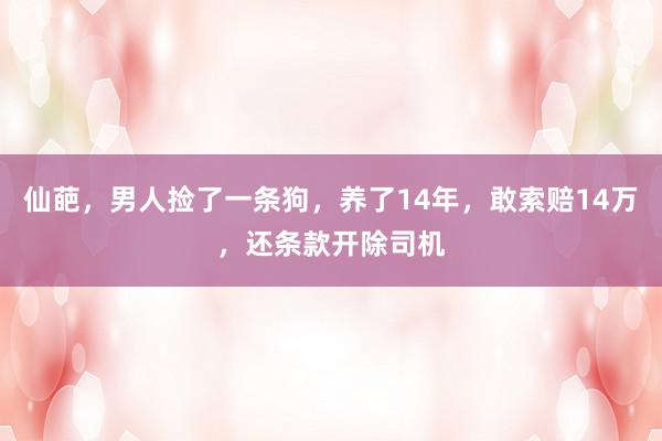 仙葩，男人捡了一条狗，养了14年，敢索赔14万，还条款开除司机