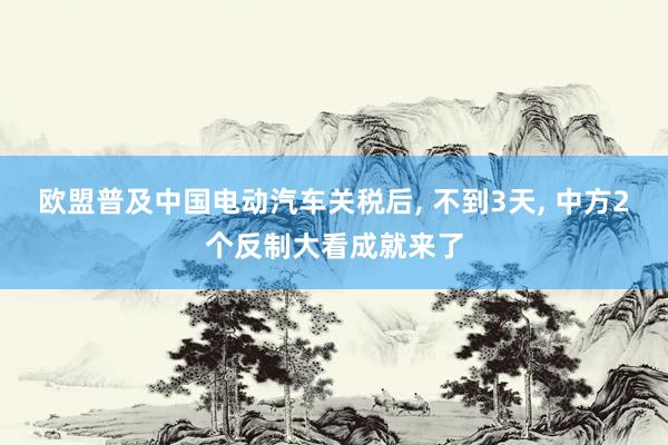 欧盟普及中国电动汽车关税后, 不到3天, 中方2个反制大看成就来了