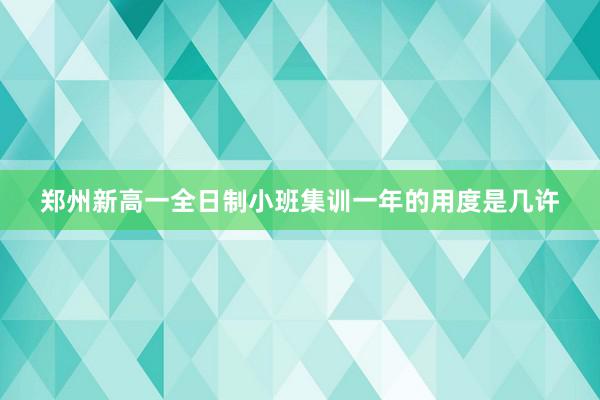 郑州新高一全日制小班集训一年的用度是几许