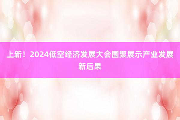 上新！2024低空经济发展大会围聚展示产业发展新后果