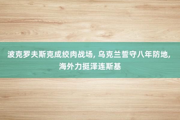 波克罗夫斯克成绞肉战场, 乌克兰誓守八年防地, 海外力挺泽连斯基