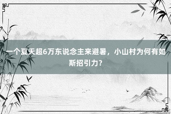 一个夏天超6万东说念主来避暑，小山村为何有如斯招引力？