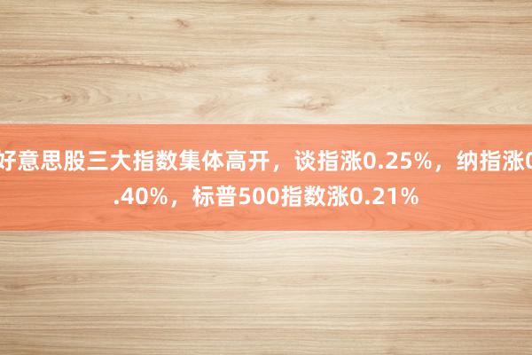 好意思股三大指数集体高开，谈指涨0.25%，纳指涨0.40%，标普500指数涨0.21%