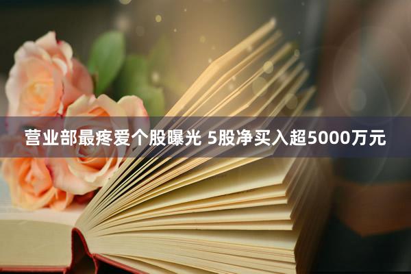 营业部最疼爱个股曝光 5股净买入超5000万元