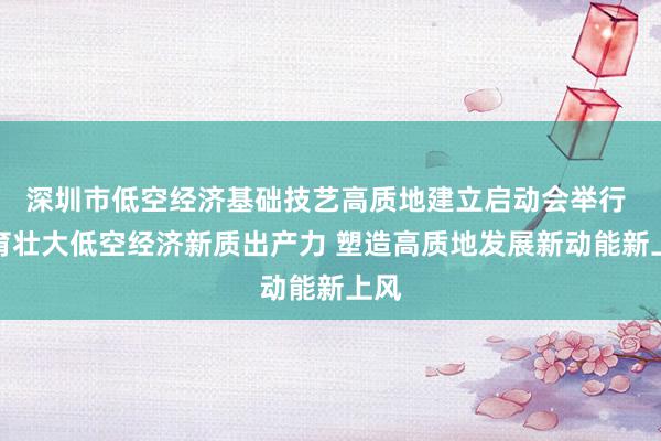 深圳市低空经济基础技艺高质地建立启动会举行 培育壮大低空经济新质出产力 塑造高质地发展新动能新上风