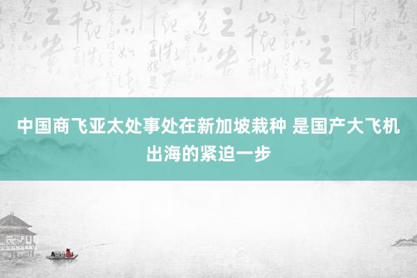 中国商飞亚太处事处在新加坡栽种 是国产大飞机出海的紧迫一步