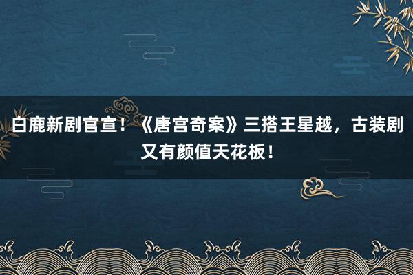 白鹿新剧官宣！《唐宫奇案》三搭王星越，古装剧又有颜值天花板！